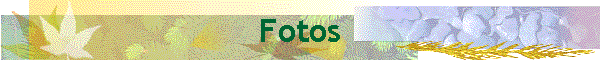 Fotos