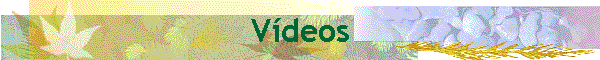 Vdeos