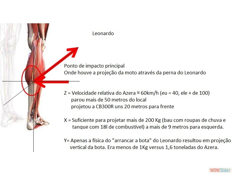 Leonardo - Física da pancada que levamos