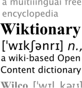 Dicionario Wiki